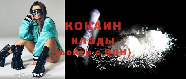 крисы Алексин