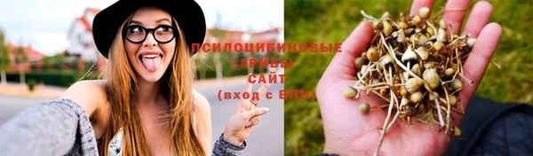 крисы Алексин